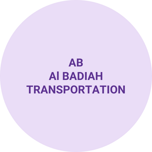 FORD TAURUS OR SIMILAR WITH DRIVER - 8 HOURS SERVICE