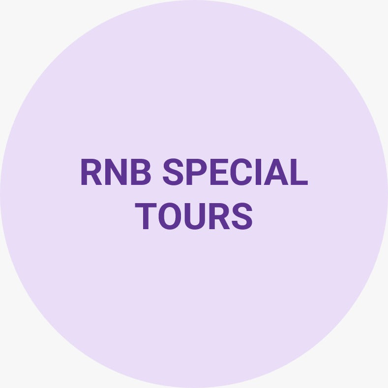 LEXUS ES 350/250 OR SIMILAR WITH DRIVER - 08 HOURS SERVICE