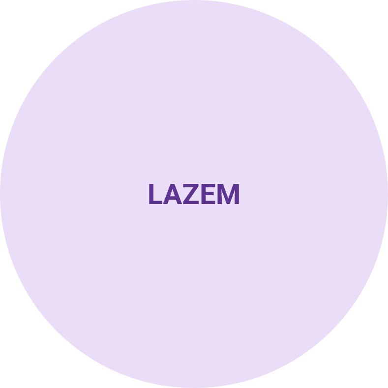 1Fully equipped basic Life Support (BLS) Ambulance with medical team • 8hours • 1 day • Location : Riyadh