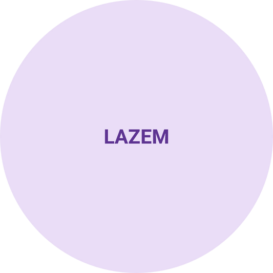 1Fully equipped basic Life Support (BLS) Ambulance with medical team • 8hours • 1 day • Location : Riyadh